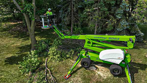 Remi's Tree Service High tree removal in Appleton WI