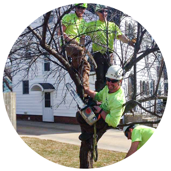 Remi's Tree Service in Appleton Wisconsin