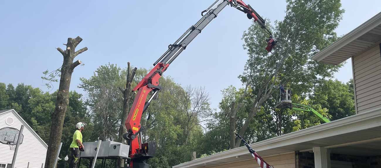 Appleton Hazardous Tree Removal Services Remis Tree Service